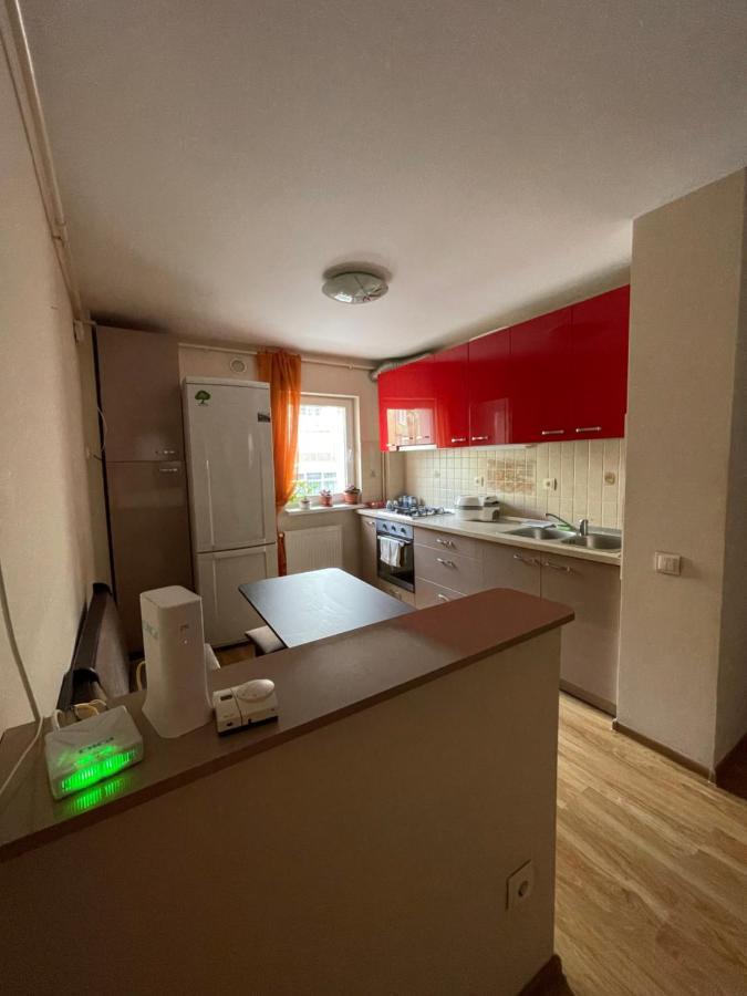 Cerna Apartament Lejlighed Braşov Eksteriør billede