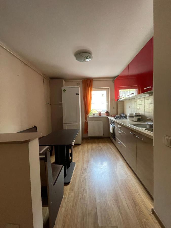 Cerna Apartament Lejlighed Braşov Eksteriør billede