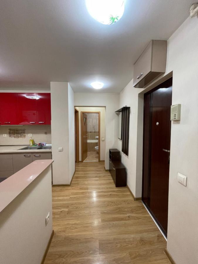 Cerna Apartament Lejlighed Braşov Eksteriør billede